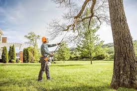 Best Root Management and Removal  in Vancleave, MS