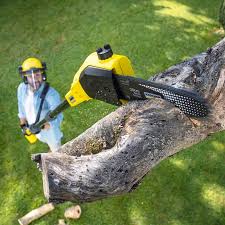 Best Firewood Processing and Delivery  in Vancleave, MS